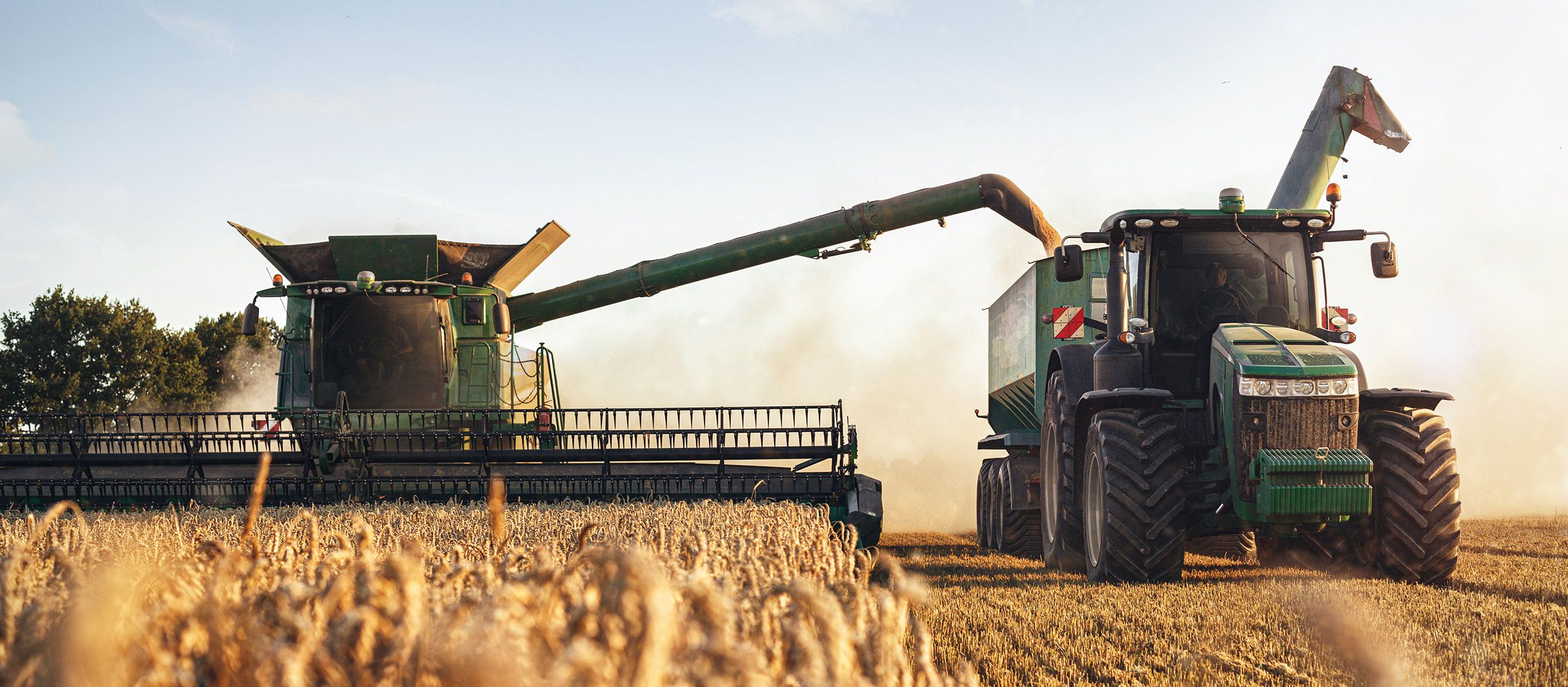 Getreideernte mit Traktor und Erntemaschine